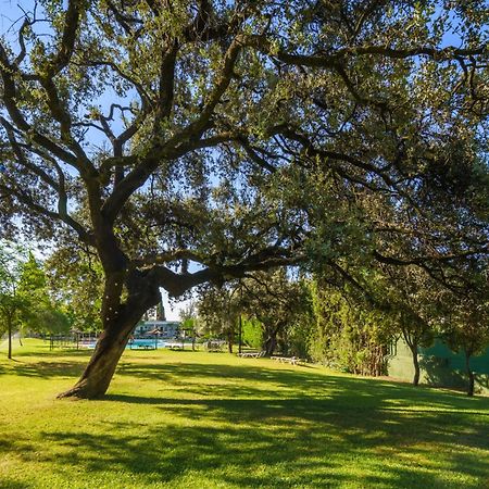 Отель Crisol Jardines De Кордова Экстерьер фото
