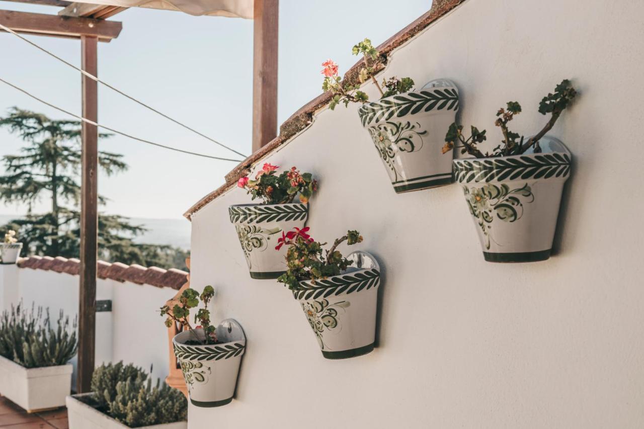 Отель Crisol Jardines De Кордова Экстерьер фото