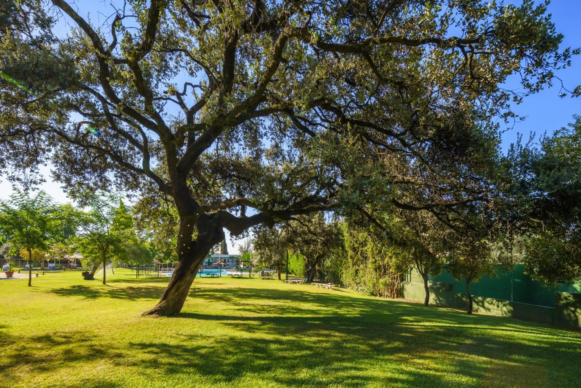 Отель Crisol Jardines De Кордова Экстерьер фото
