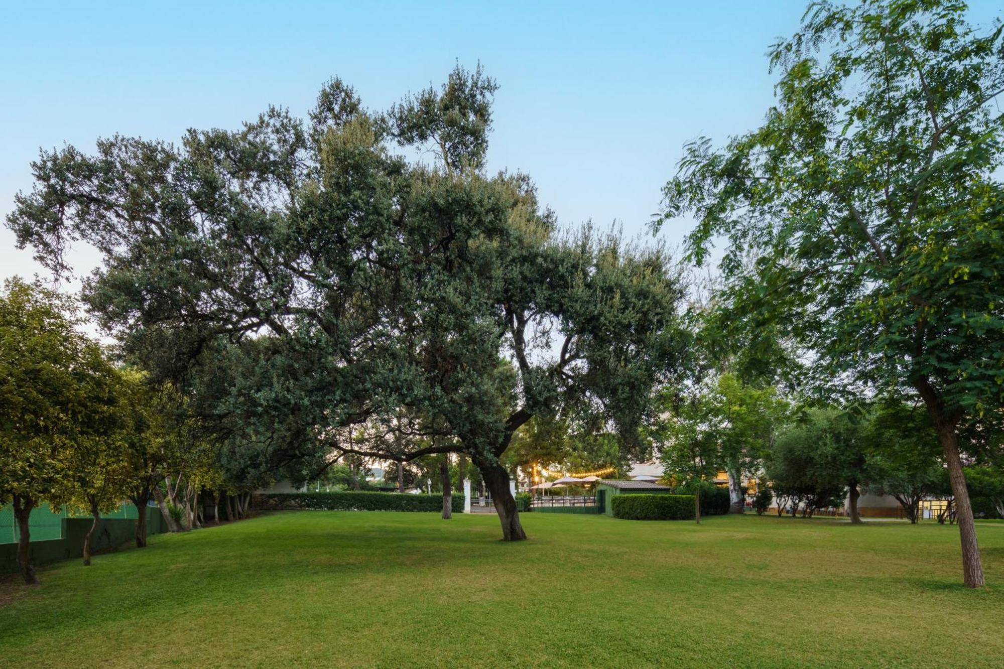 Отель Crisol Jardines De Кордова Экстерьер фото